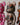 All Bearbricks